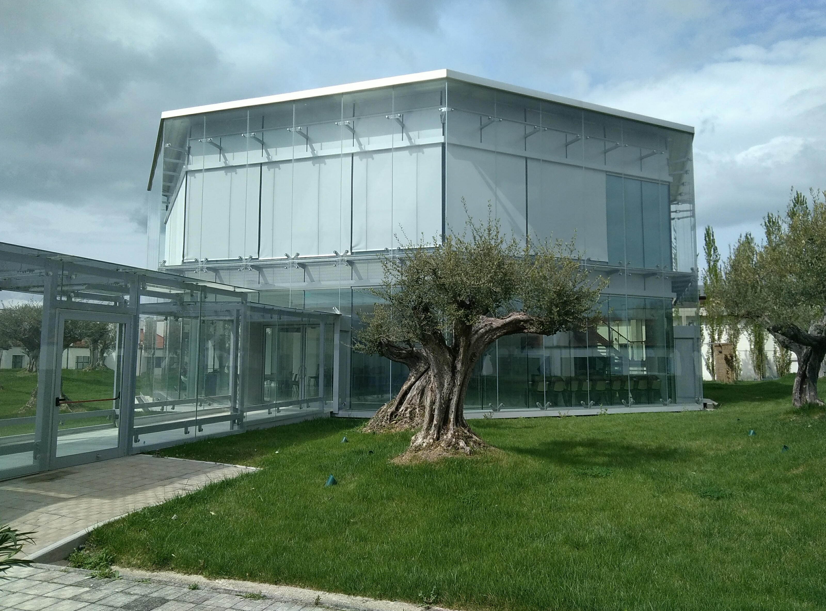 Esperti da 27 Paesi discutono del rapporto reni-cervello a Biogem